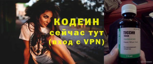 прущие грибы Рославль